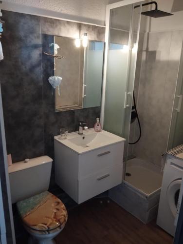 une salle de bain avec un lavabo, une douche et des toilettes dans l'établissement les raisins d'or Appartement 4 pers 1 ch Piscine Parking, au Cap d'Agde