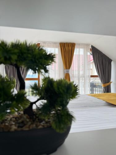 斯特拉扎Casa Germana Straja的相册照片