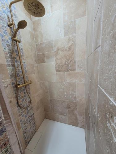 La salle de bains est pourvue d'une douche et de toilettes. dans l'établissement Appartement Caluire-et-Cuire, à Caluire-et-Cuire