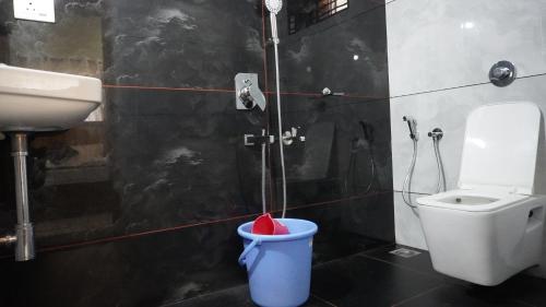a bathroom with a toilet and a sink at Arcadia Homestay in Kāsarkod