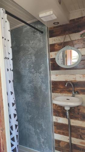 a bathroom with a sink and a mirror at De PostKeet in De Cocksdorp