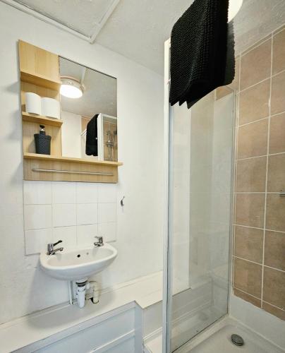 a bathroom with a sink and a shower at 1 Bedroom Apartment in Poole in Poole