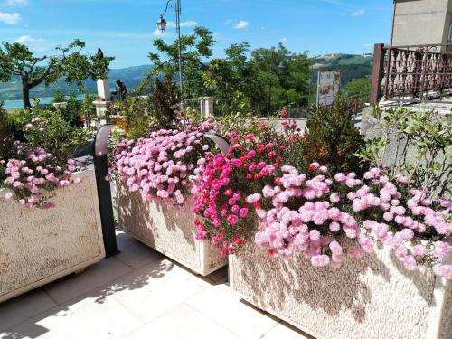 three flowerpots filled with pink flowers on a balcony at B&B Celeste - Palazzo D'Addario in Celenza Valfortore