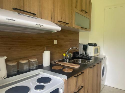 a kitchen with a sink and a stove top oven at Enetiko Apartments in Chios
