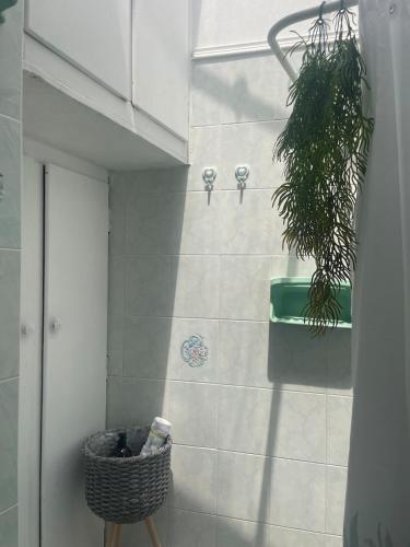 a bathroom with a plant and a basket on the wall at Enetiko Apartments in Chios