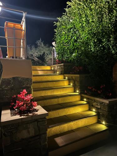 a set of stairs with lights at night at Agri Resort Masusa in Aquara