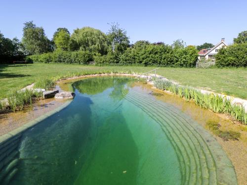 a pool of water in a field withgrass at Hazel in Witney