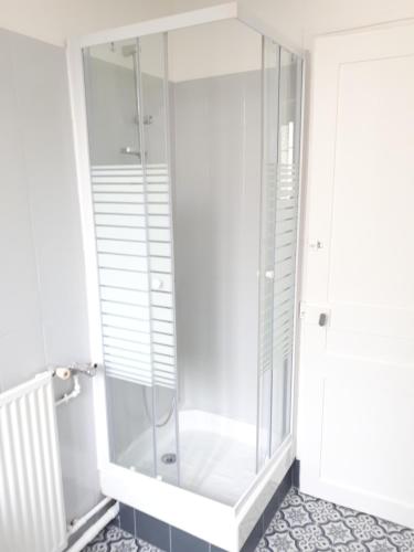 eine Dusche im Bad mit einer Duschkabine aus Glas in der Unterkunft Vincennes - Parisian appartment in Vincennes
