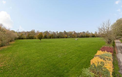 a large grass field with a frisbee in the distance at Stunning Home In Wagenborgen With Wifi in Wagenborgen