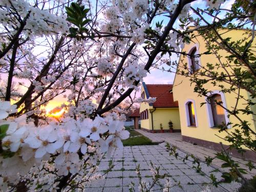 Idylický rodinný penzión Arkádia pri Dunajskej cyklotrase