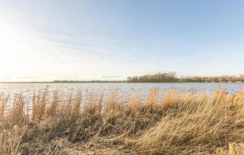 a field of tall grass next to a body of water at Stunning Home In Wagenborgen With Wifi in Wagenborgen