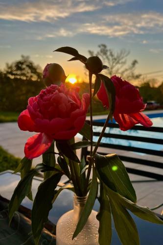 a vase filled with red flowers with the sunset in the background at Papavero Vendégház in Tamási