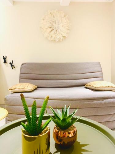 deux plantes sur une table en verre devant un canapé dans l'établissement Logement indépendant avec jardin classé par Gîte de France, à Allauch