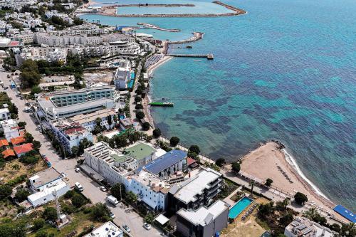 an aerial view of a beach and the ocean at Bodrum Ada Apart Otel Turgutreis in Mugla