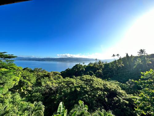 Photo de la galerie de l'établissement Latui Lodge, à Savusavu
