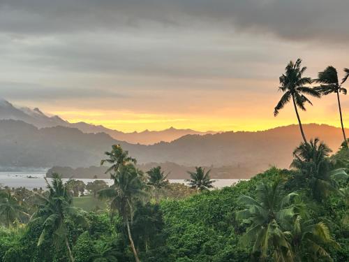 Photo de la galerie de l'établissement Latui Lodge, à Savusavu