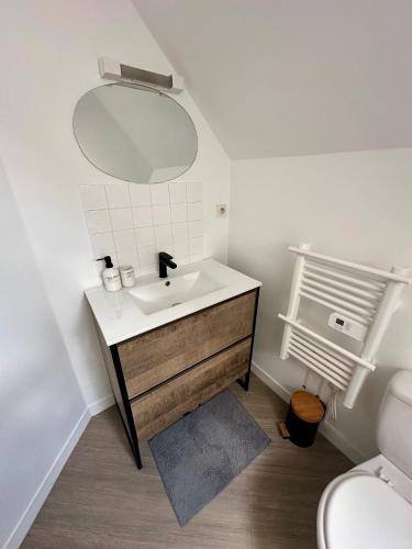 une salle de bain avec un lavabo et un miroir dans l'établissement Le 203 - 4 Personnes - Gare, au Mans