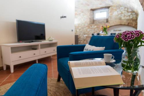 TV a/nebo společenská místnost v ubytování Apartment in historic villa with pool and Tennis