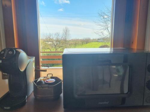 a microwave sitting on a counter next to a window at In campagna vicino al mare in Rivignano