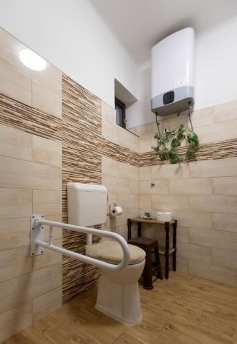 a bathroom with a toilet and a tv on the wall at Gedeon Tanya Panzió in Jakabszállás