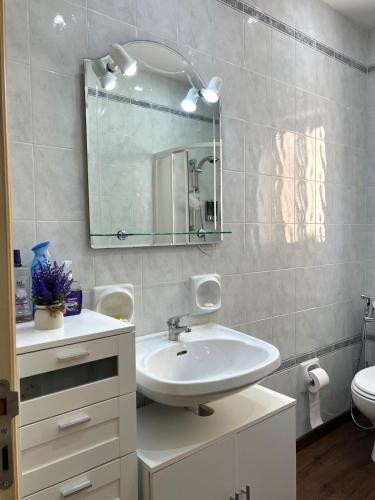 a bathroom with a sink and a mirror and a toilet at Cozy Appartment Gozo in Għajnsielem