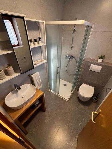 a bathroom with a shower and a toilet and a sink at Apartment Dalmare in Biograd na Moru