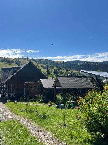 a house with a yard with grass and buildings at "Файна хата" in Synevyrsʼka Polyana