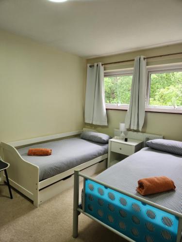 two beds in a room with two windows at Twin Room in Crawley,Gatwick,West Sussex in Ifield