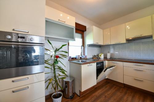 a kitchen with white cabinets and a potted plant at Matanovi Dvori in Saborsko