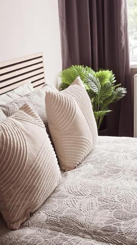 a bed with white pillows and a plant on it at Alross Guest House with Italian Breakfast in London