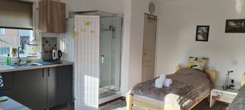 a small kitchen with a bed in a room at Lemon & Lime Apartmanok in Mikepércs