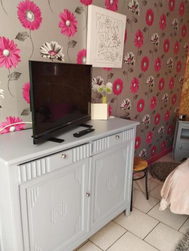 - une télévision sur une commode dans une pièce fleurie dans l'établissement Chambre agréable au fond du jardin, à Sancoins
