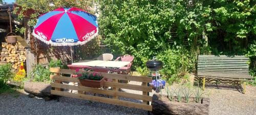 - un jardin avec une table, un parasol et une clôture dans l'établissement Location saisonnière gap hautes alpes, à Gap