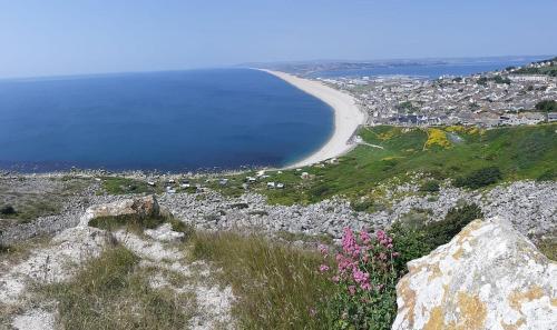 a view of a beach with pink flowers on a hill at The Beach House in Melcombe Regis