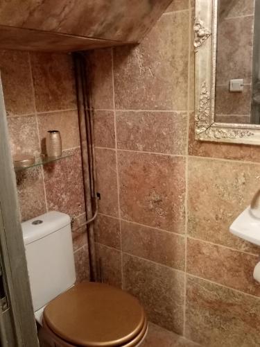 une salle de bain avec toilettes et miroir dans l'établissement Fully Equipped 1-bdrm apartment Cours Mirabeau Aix en Provence, à Aix-en-Provence