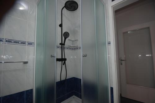 a shower with a glass door in a bathroom at Sunny Cottage in Petrcane