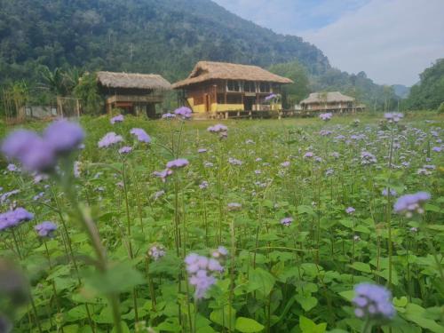 a field of purple flowers with houses in the background at Ba Be Retreat in Nà Dzương