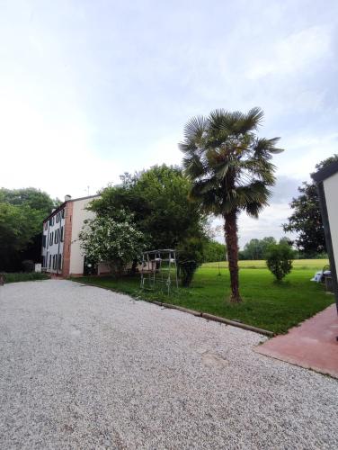 a gravel driveway with a palm tree next to a building at La Mela - Angolo di paradiso oltre le mura in Ferrara
