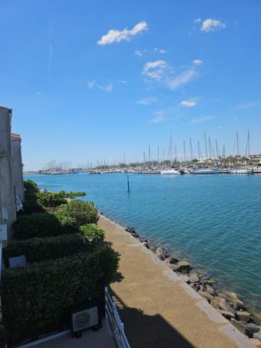 La vue en bleu. photo 18