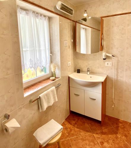 a bathroom with a sink and a toilet and a mirror at CESA VEDLA - Alpine Dolomites silent and cozy in Ortisei