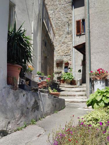 an alley with potted plants on the side of a building at Sassolina house bike in Sassofortino