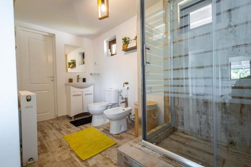 クンプルング・モルドヴェネスクにあるHopa SuSのシャワーとトイレ付きのバスルーム