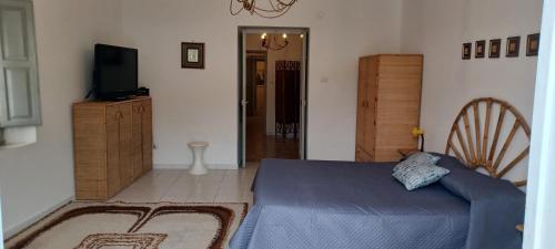 a bedroom with a blue bed and a television at Atina House - Centro Storico in Atina