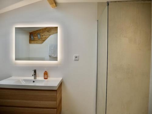 a bathroom with a sink and a shower at Les Calanques - Mas des Sous-Bois in Ventabren