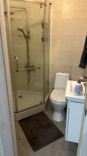 ein Badezimmer mit Dusche, Toilette und Waschbecken in der Unterkunft Twice Rent in Chişinău