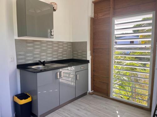 a kitchen with a sink and a mirror and a door at Kay Soley La in Saint-François