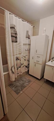 Il comprend une cuisine équipée d'un réfrigérateur. dans l'établissement chambre chez raissa, à Trappes