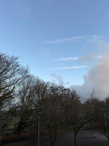a group of trees with a blue sky in the background at Modern, sleeps 5, parking, semi rural, Upholland in Upholland