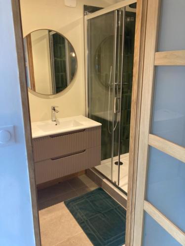 un bagno con lavandino e doccia di Studio avec jardin Centre ville a Remiremont