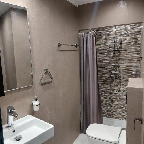 a bathroom with a toilet and a sink and a shower at Archontarikia Luxury in Ouranoupoli